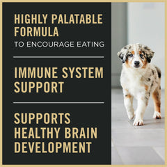 Purina Pro Plan poulet en premier ingrédient illustré pour appétence accrue