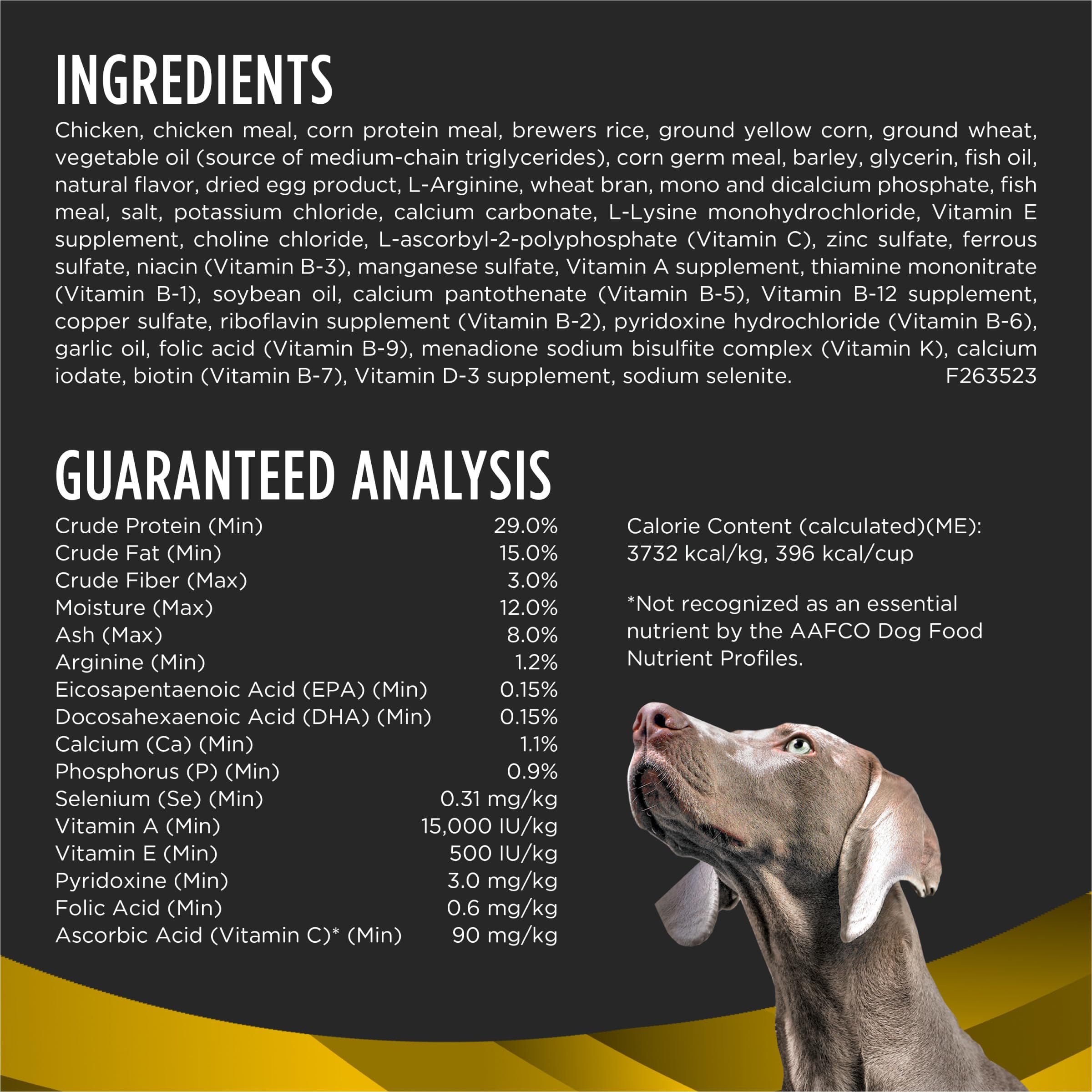 Mélange huile MCT en gros plan utilisé dans Purina Pro Plan NeuroCare pour énergie cérébrale