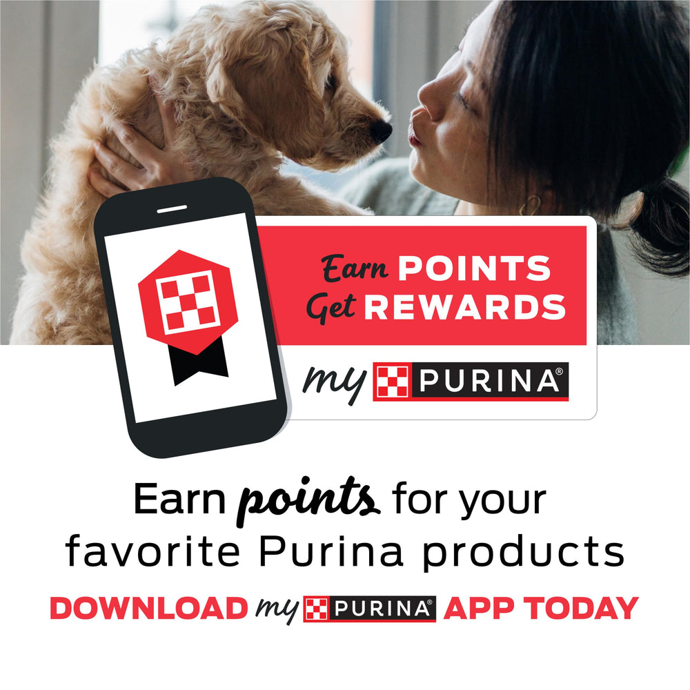 Purina Pro Plan comparatif croquettes et boîte humide, choix selon préférence