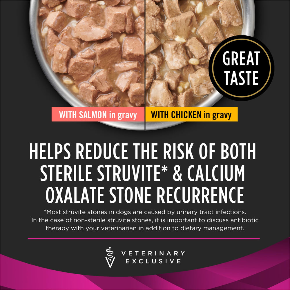 Purina Pro Plan texture en sauce visible, favorise l'hydratation du chien