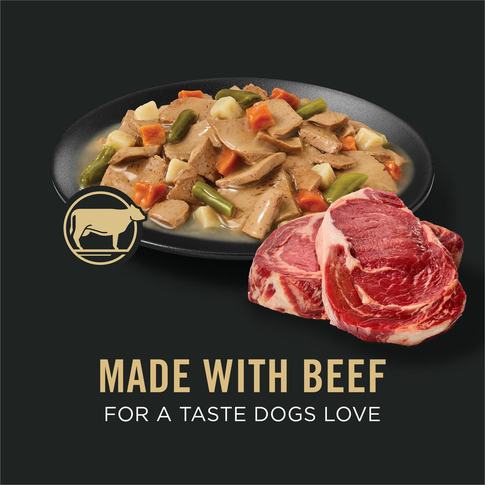 Purina Pro Plan boîte ouverte avec tranches de bœuf appétissantes, stimule l’appétence