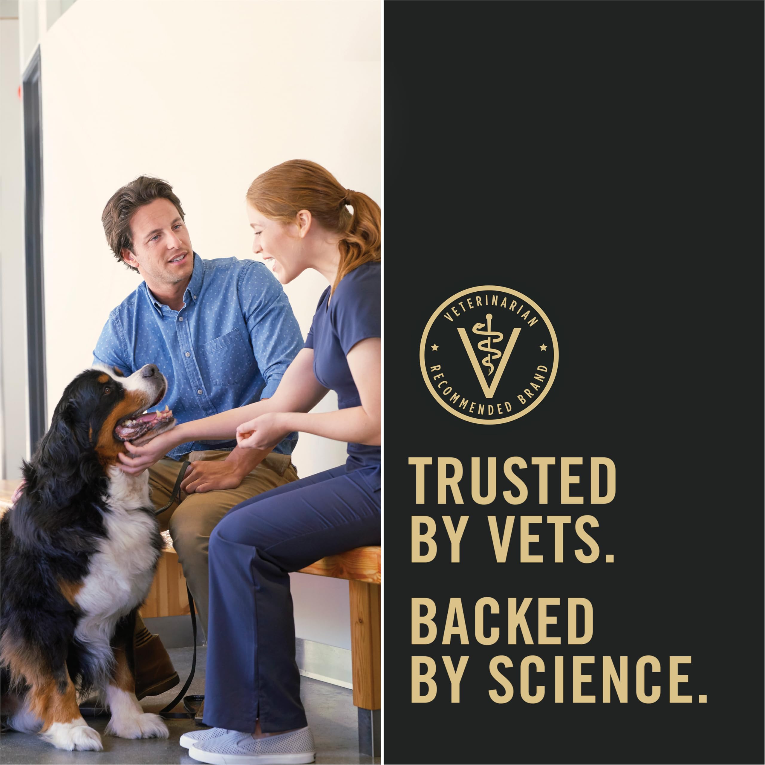 Purina Pro Plan packshot plusieurs boîtes pour stockage familial