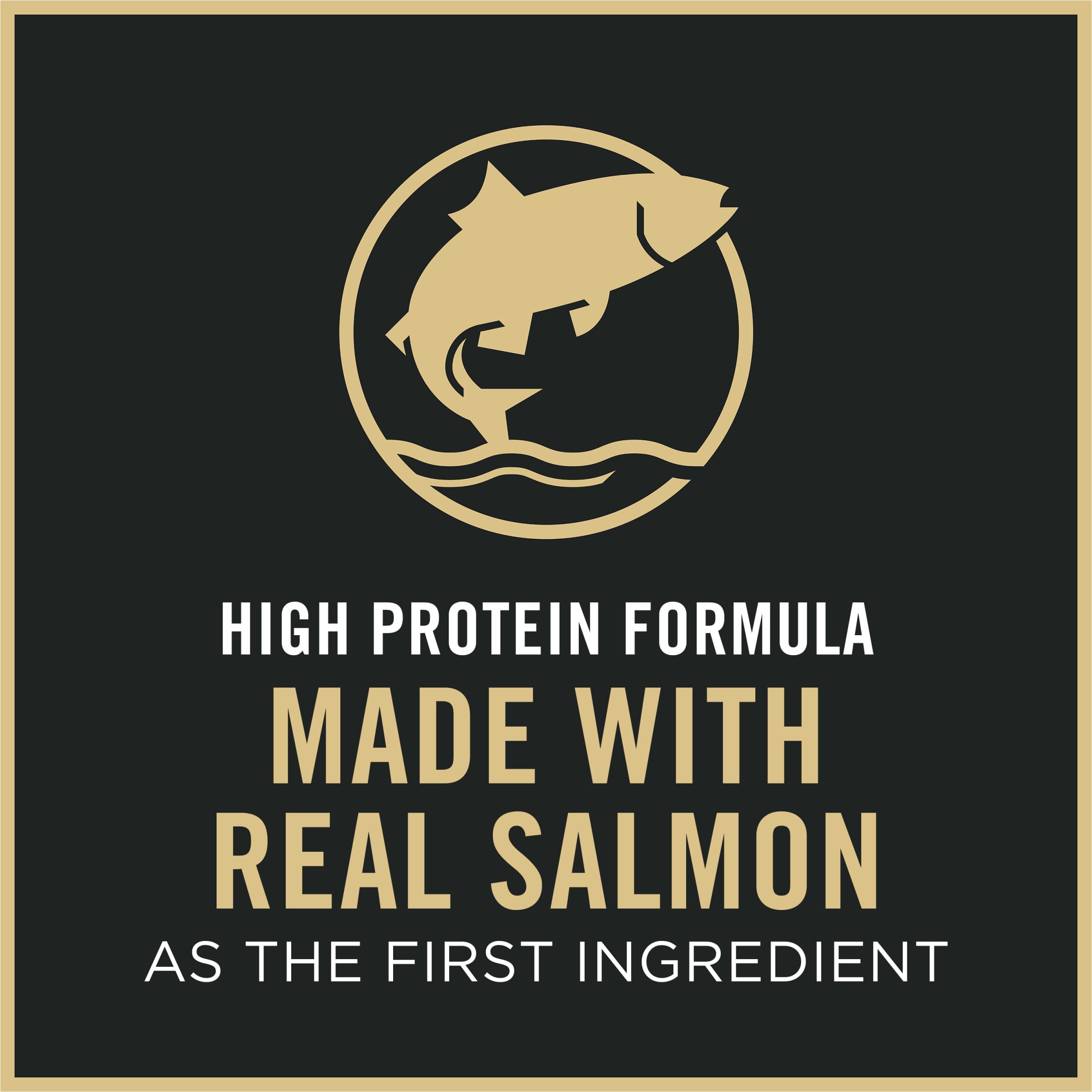 Purina Pro Plan saumon ingrédient principal illustré pour attractivité gustative