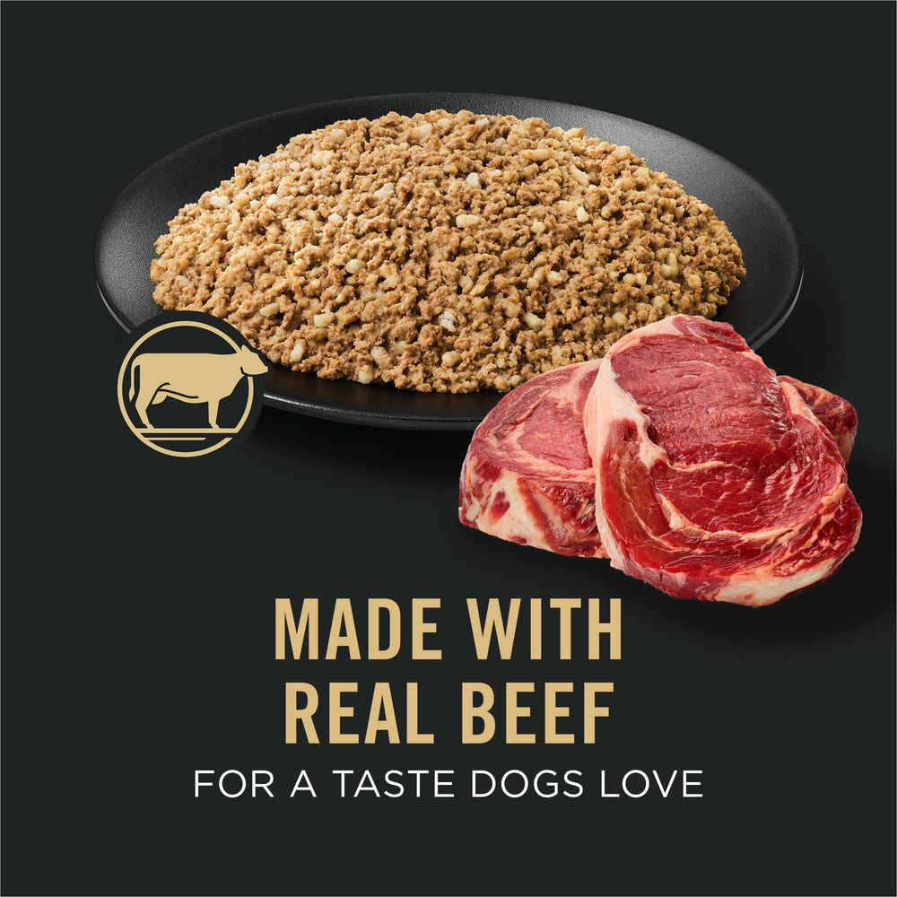 Purina Pro Plan ouverture de la boîte montrant pâté appétissant pour chien
