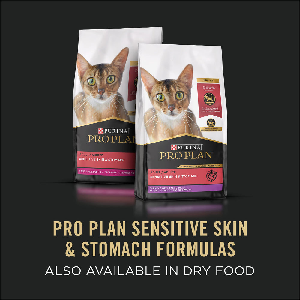 Purina Pro Plan scène domestique avec chat et pâtée illustrant confort et bien-être