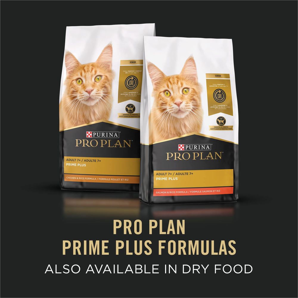 Purina Pro Plan chat mature mangeant pâté soulignant confort alimentaire