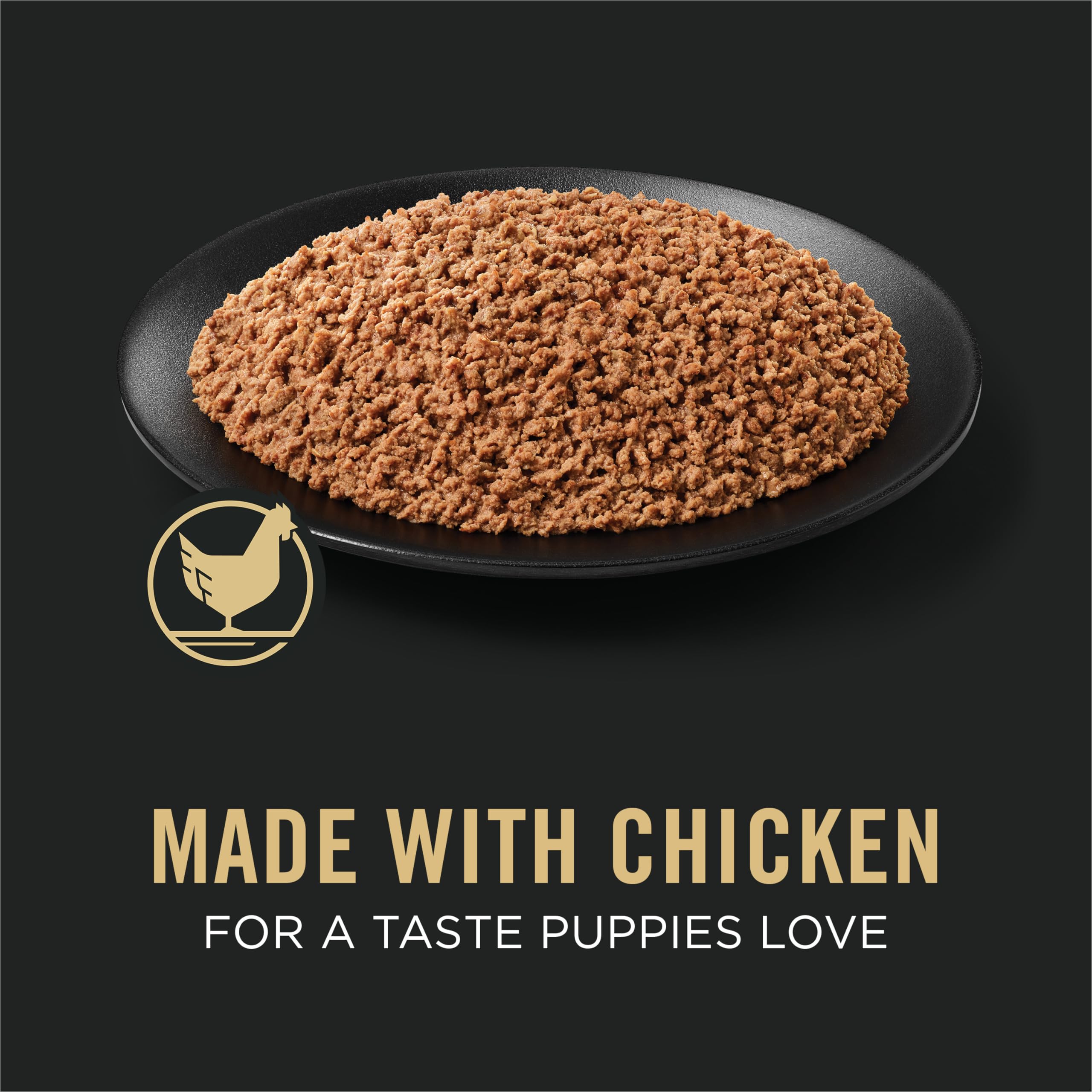 Purina Pro Plan chiot mangeant la pâtée illustrant acceptation et goût