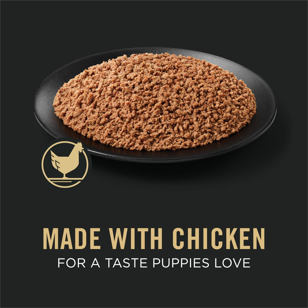Purina Pro Plan chiot mangeant la pâtée illustrant acceptation et goût