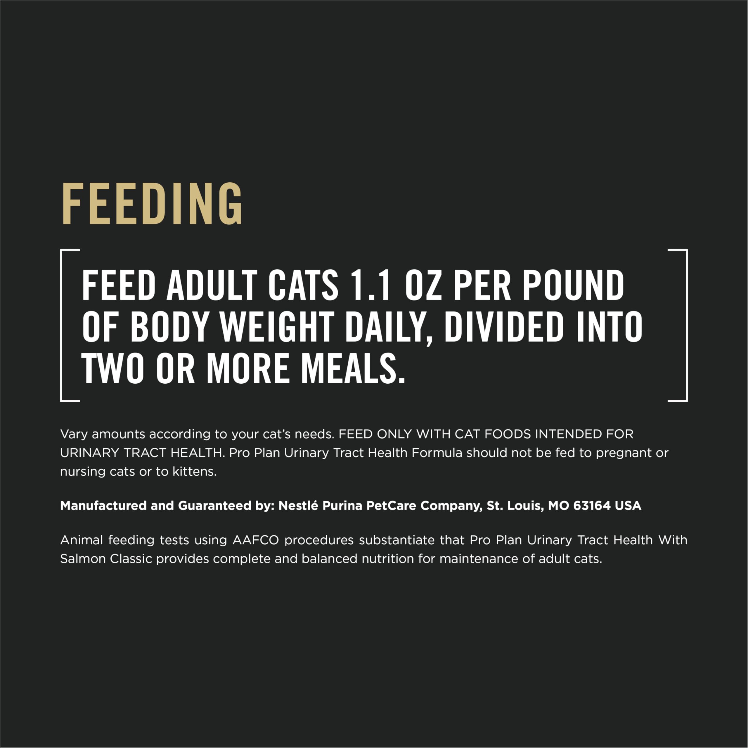 Purina Pro Plan chat mange la pâtée montrant acceptation et plaisir alimentaire