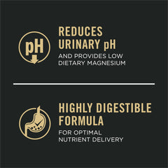 Purina Pro Plan pâtée servie dans une coupelle favorisant hydratation et appétence