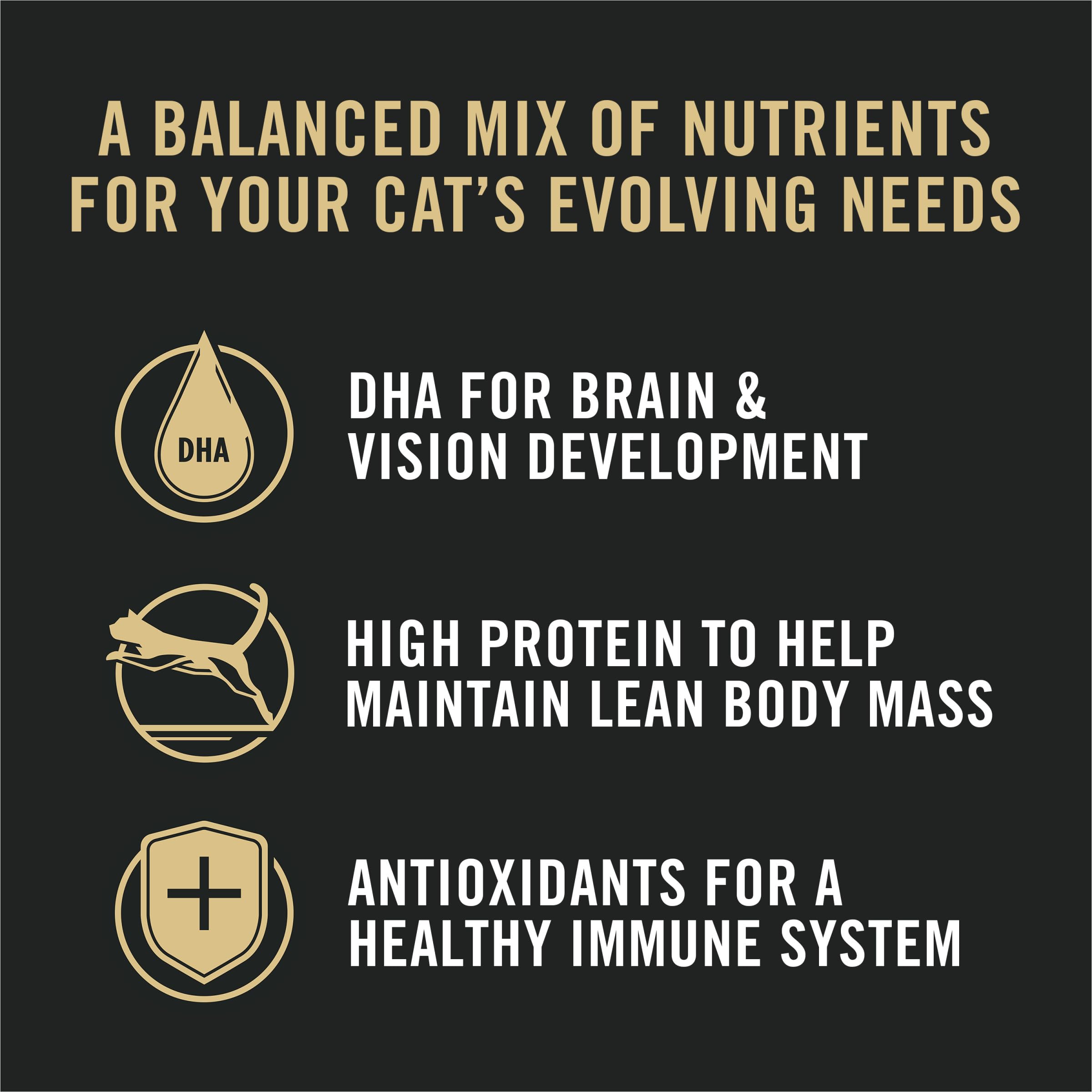 Purina Pro Plan boîte à côté d’un règle pour comparaison de taille pratique