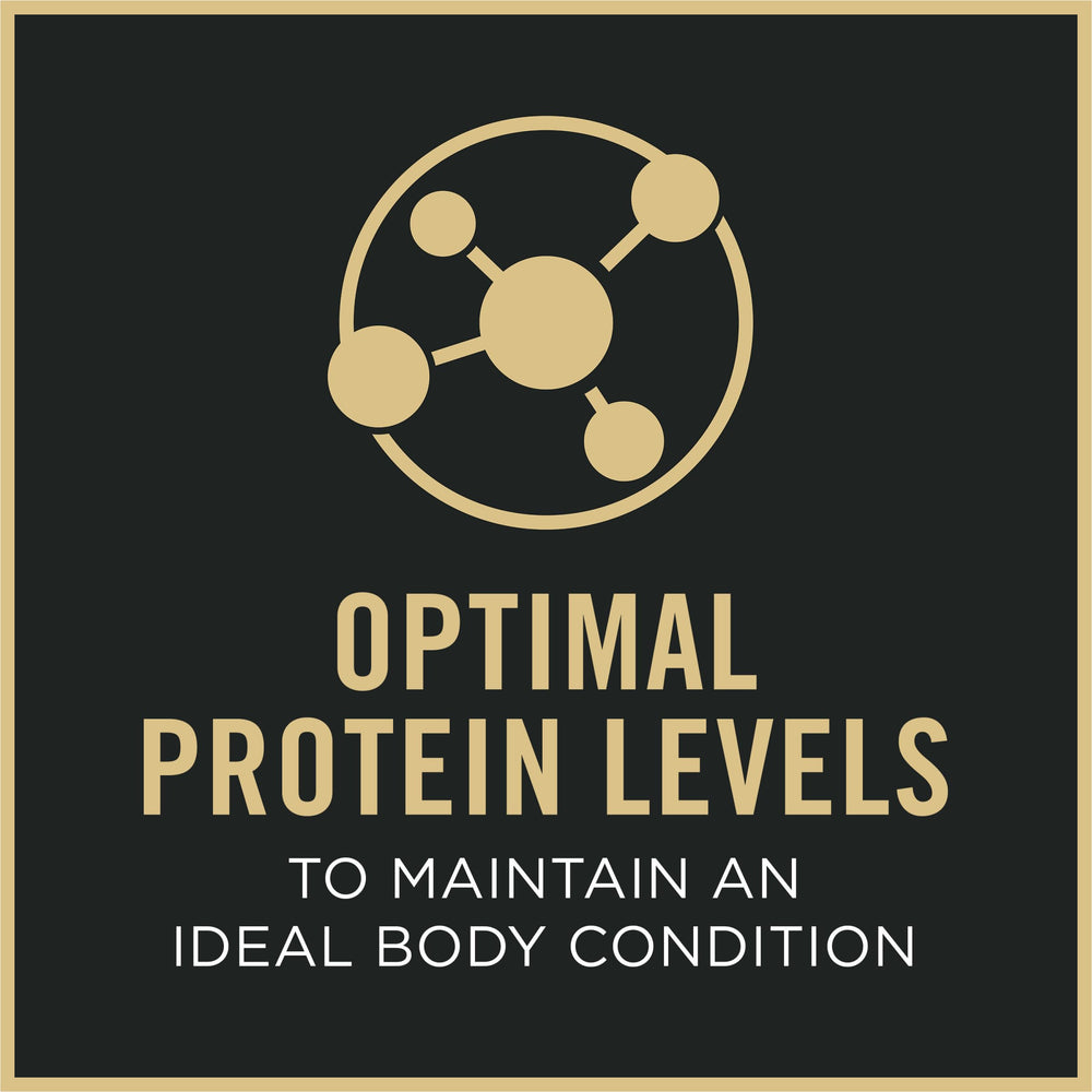 Purina Pro Plan étiquette nutritionnelle mettant en avant 23 vitamines et minéraux