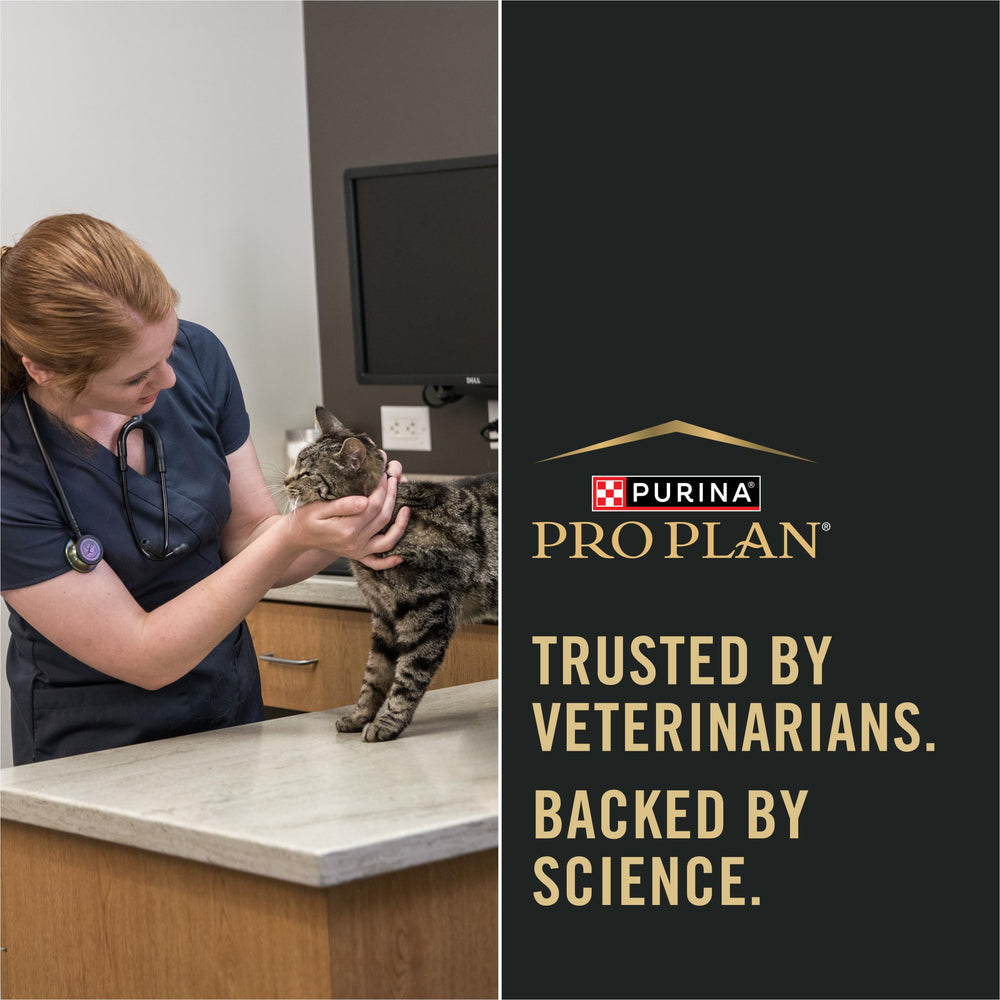Purina Pro Plan pelage brillant d’un chat, amélioration apparente du pelage