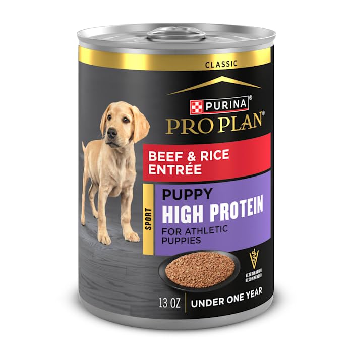 Purina Pro Plan portion servie sur assiette montrant facilité d'usage