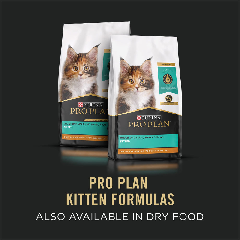 Purina Pro Plan portion dans la main pour visualiser quantité adaptée par repas