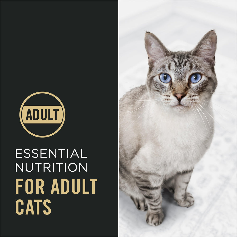 Purina Pro Plan dos du sac et étiquette nutritionnelle pour informations claires