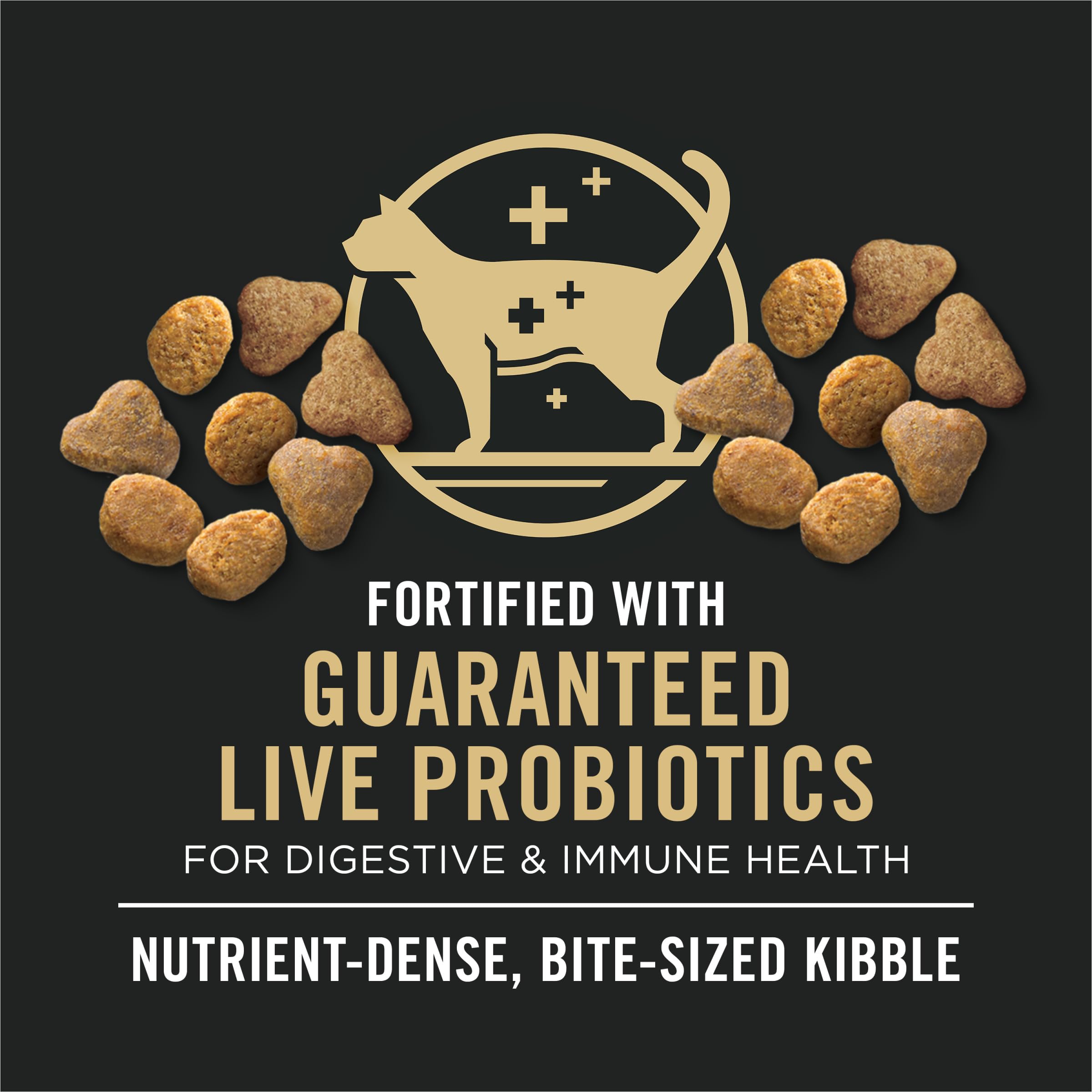 Purina Pro Plan — croquette détaillée illustrant texture digestible