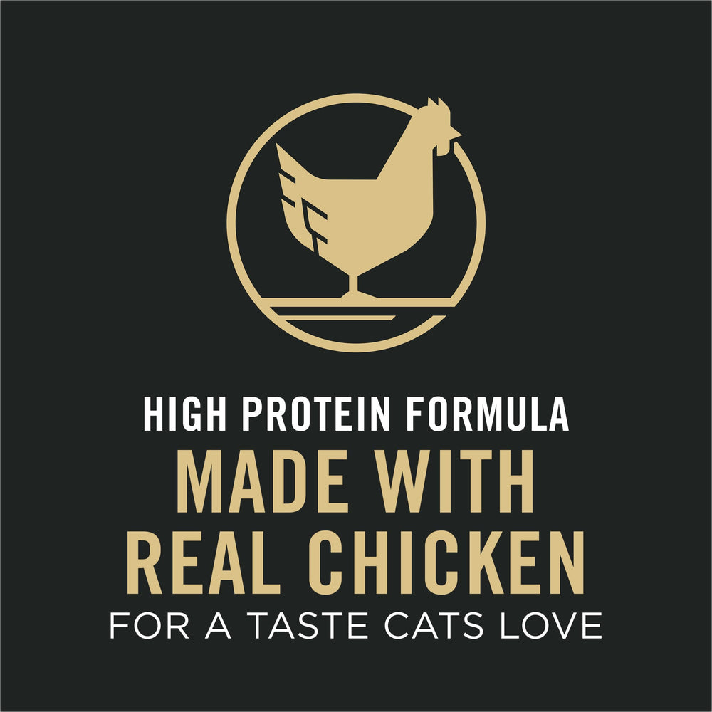 Purina Pro Plan — ambiance domestique avec chat senior détendu après repas