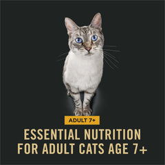 Purina Pro Plan — gros plan des croquettes pour appétence et protéines