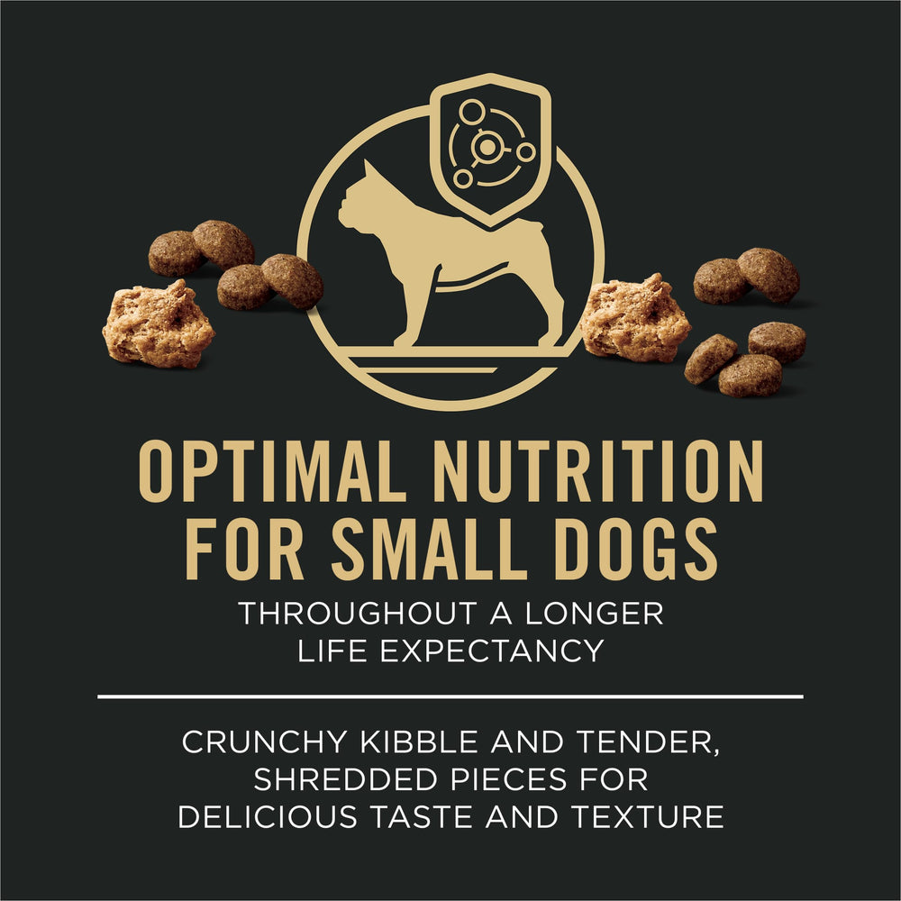 Purina Pro Plan portion servie dans une gamelle illustrant facilité d’usage