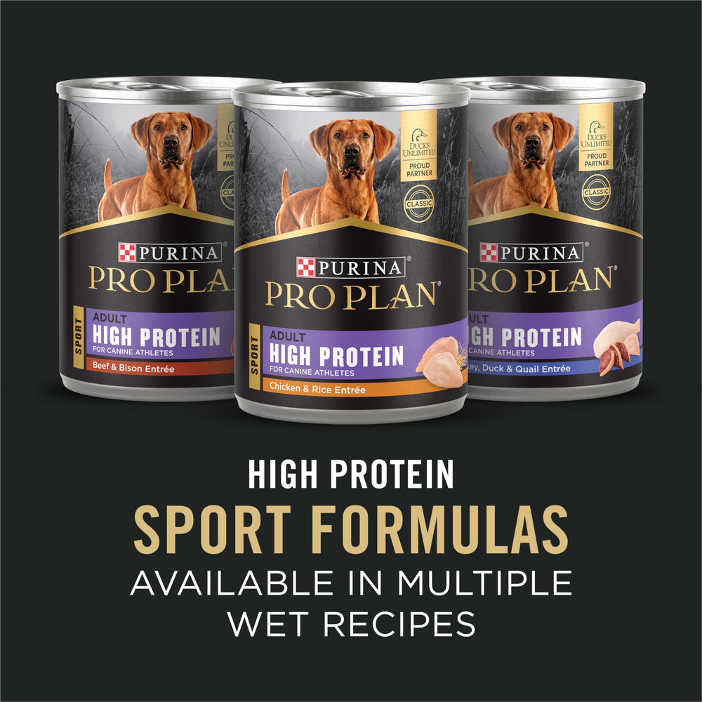 Purina Pro Plan bol rempli de croquettes prêt à servir au chien