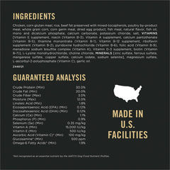 Purina Pro Plan chien actif courant en extérieur illustrant énergie
