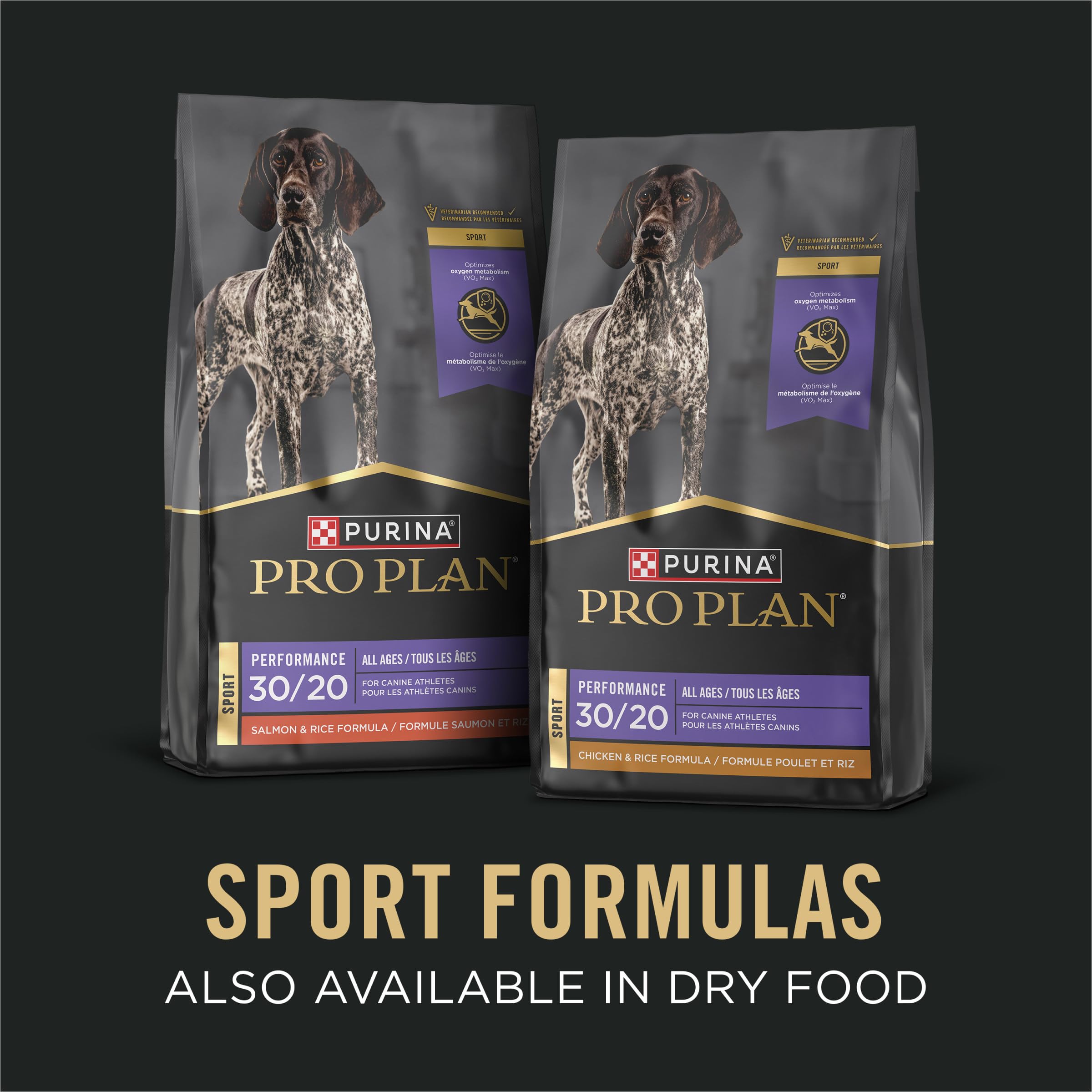 Purina Pro Plan chien athlète mangeant après effort, favorise récupération