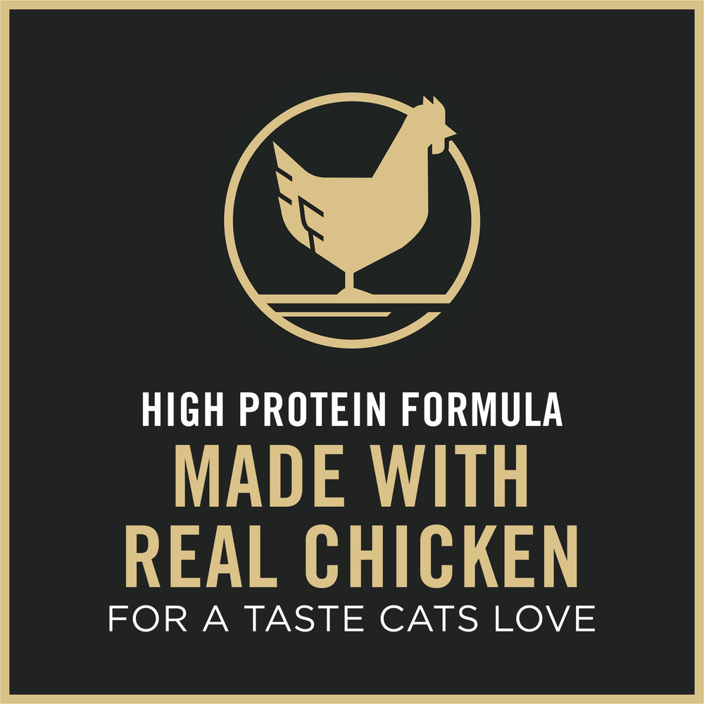 Purina Pro Plan mise en scène quotidienne chaton joueur et alimentation équilibrée