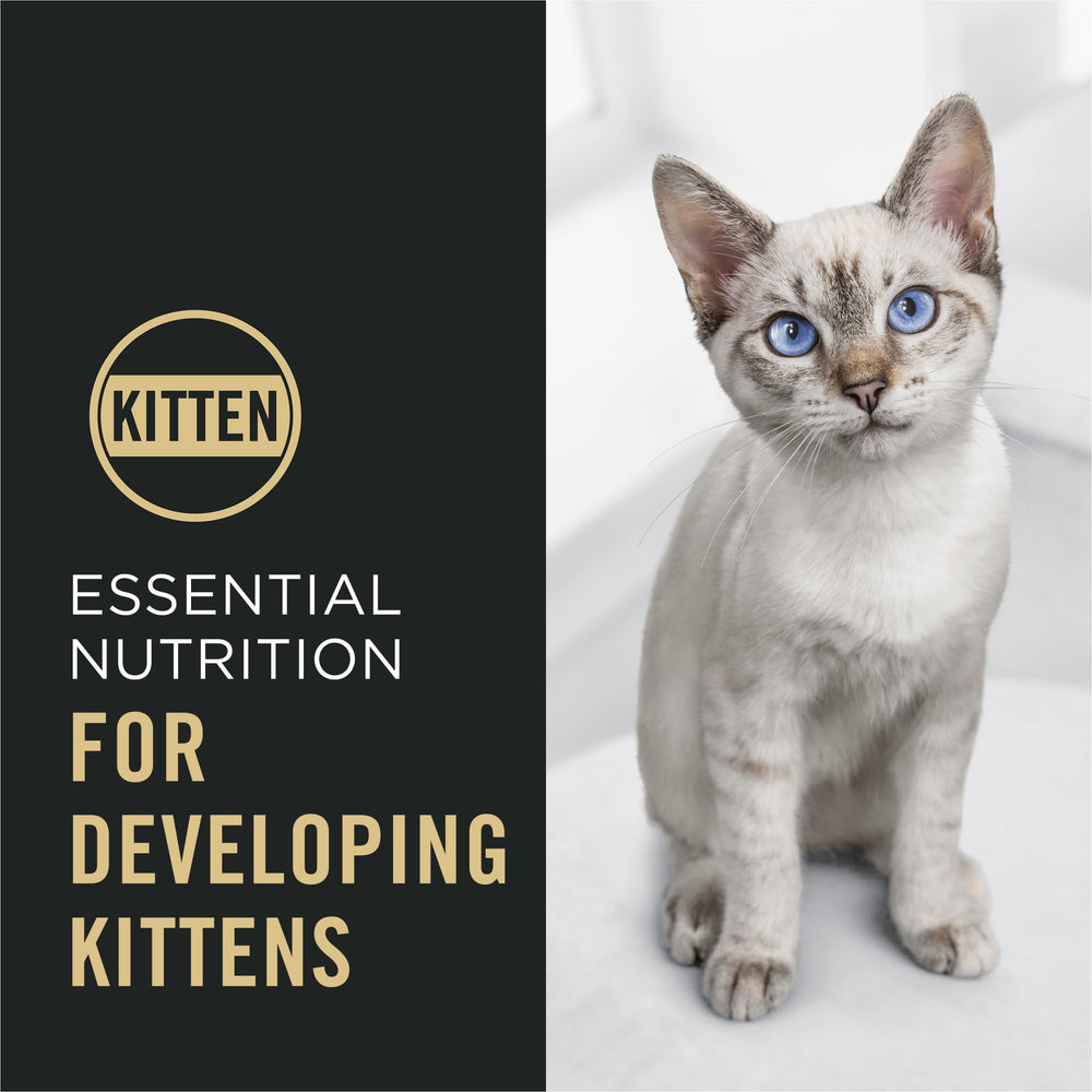 Purina Pro Plan détail texture croquette illustrant croustillant et digestion facilitée