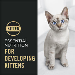 Purina Pro Plan détail texture croquette illustrant croustillant et digestion facilitée