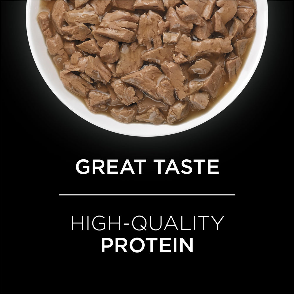 Purina Pro Plan UR boîte ouverte révélant la pâtée appétente, invite à l'acceptation