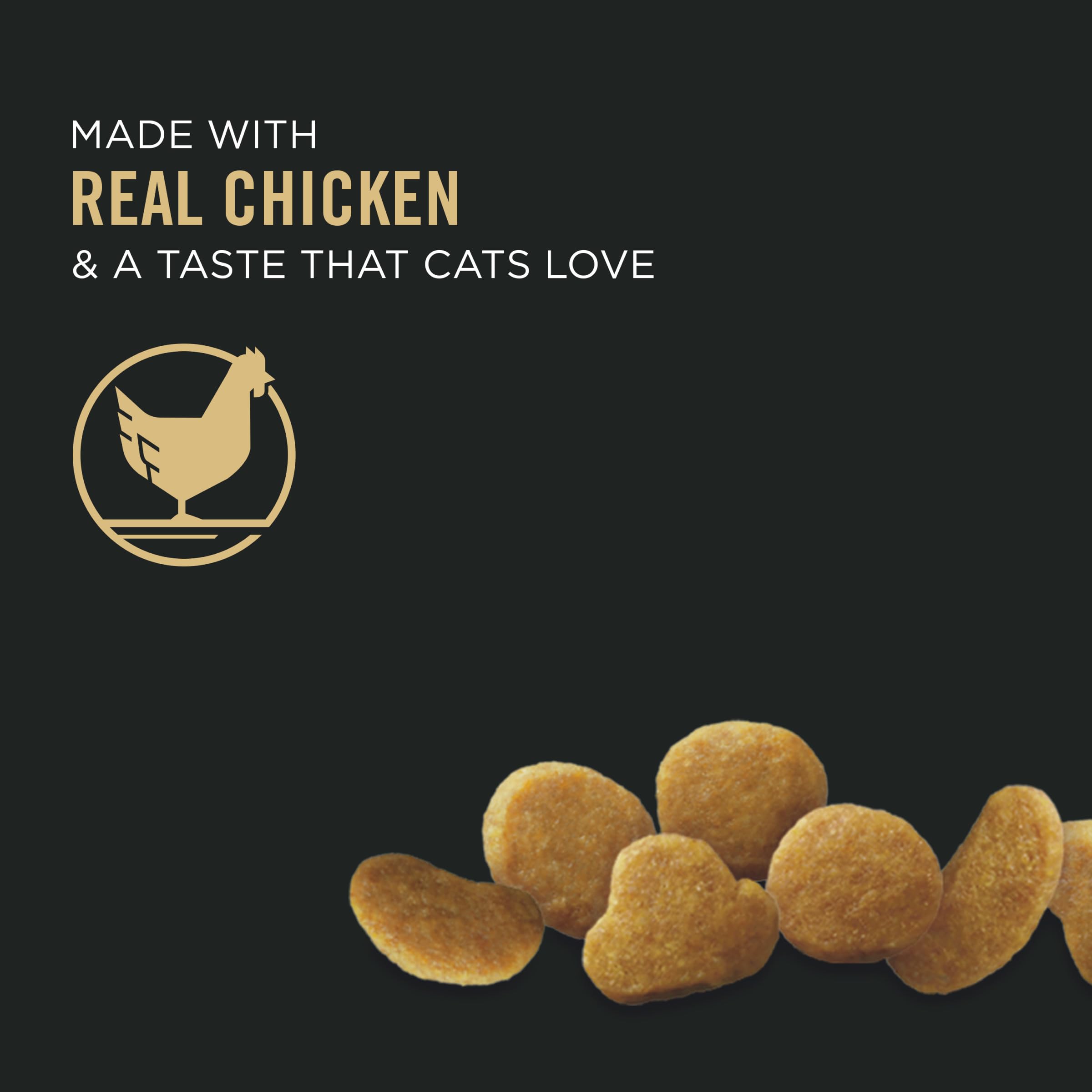 Purina Pro Plan chat mangeant à la maison illustrant l’usage quotidien