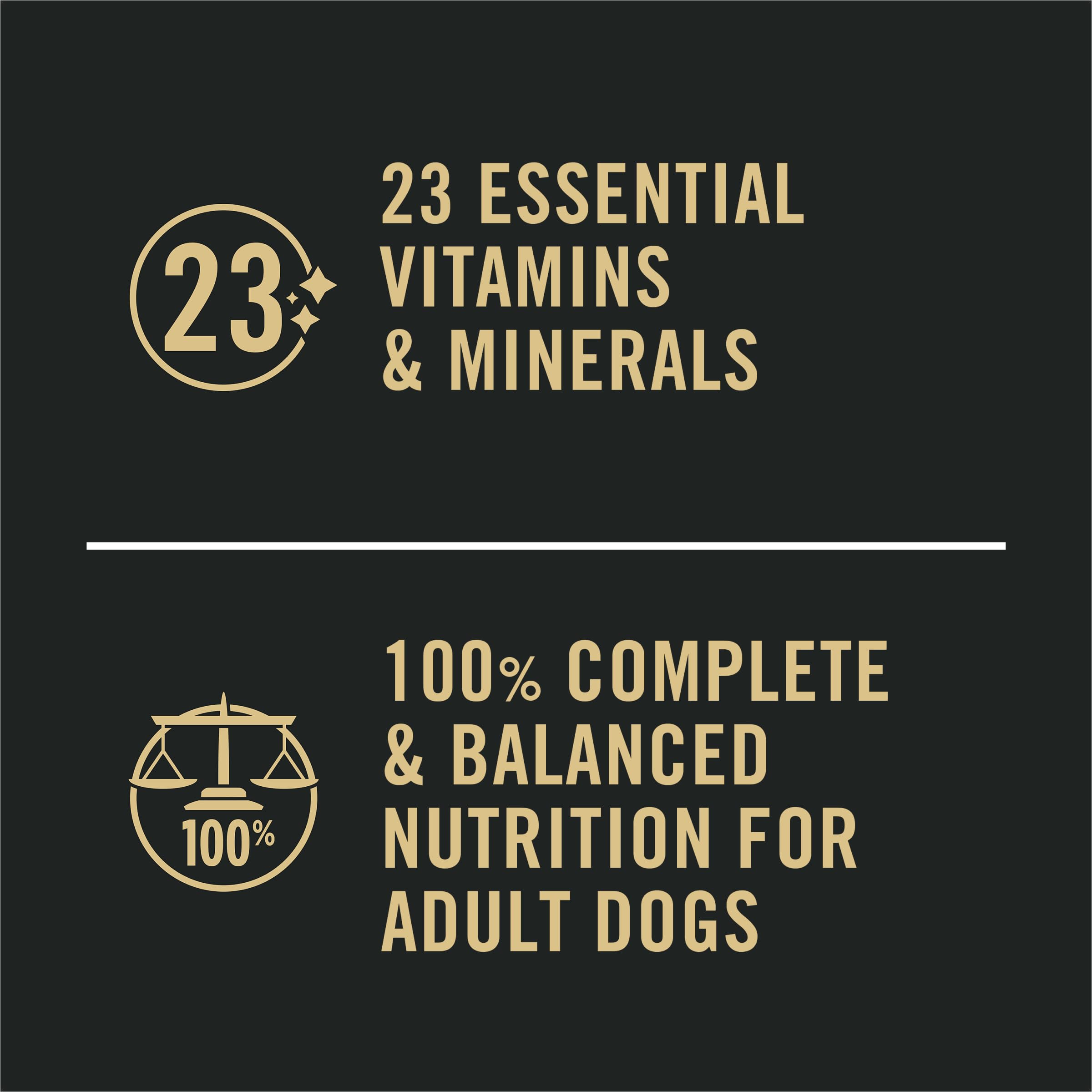 Purina Pro Plan chien en repas quotidien, soutien d'une alimentation humide équilibrée