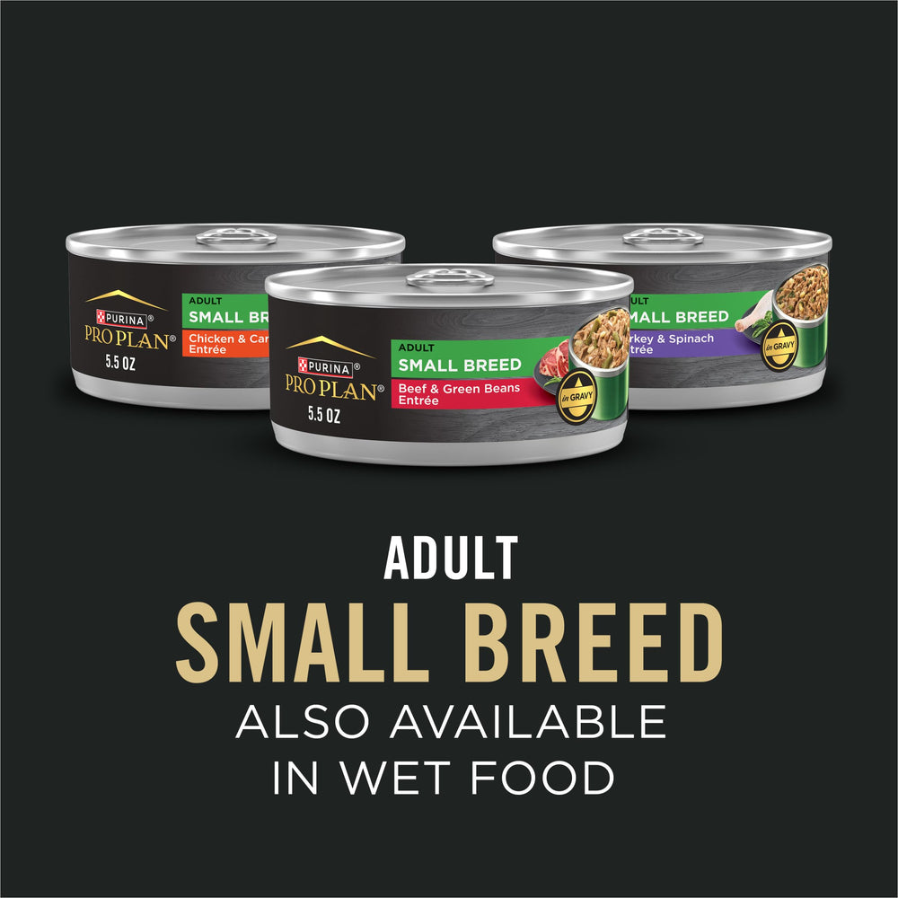 Purina Pro Plan zoom sur ingrédients d'agneau, montre première source protéique de qualité