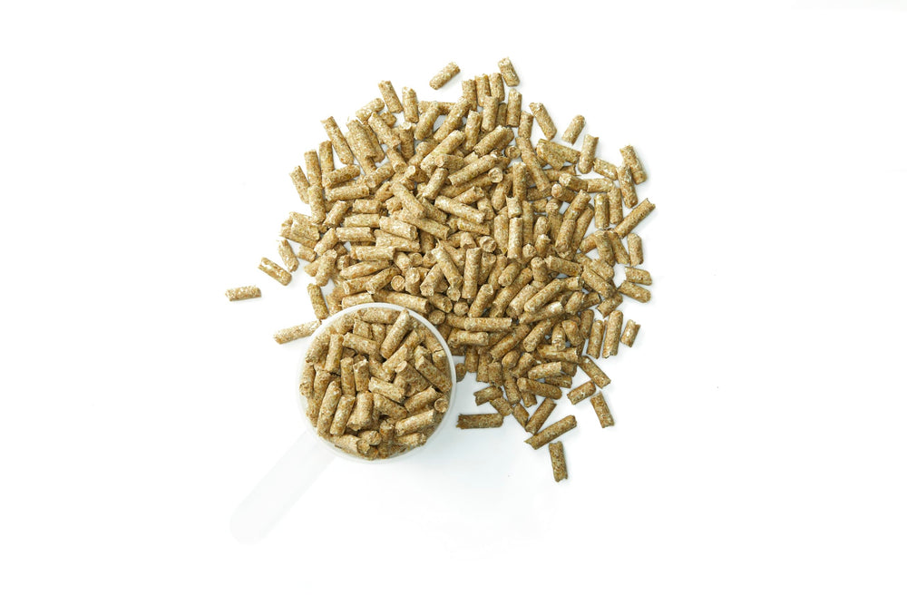 Purina Systemiq étiquette technique lisible, montre informations de recherche