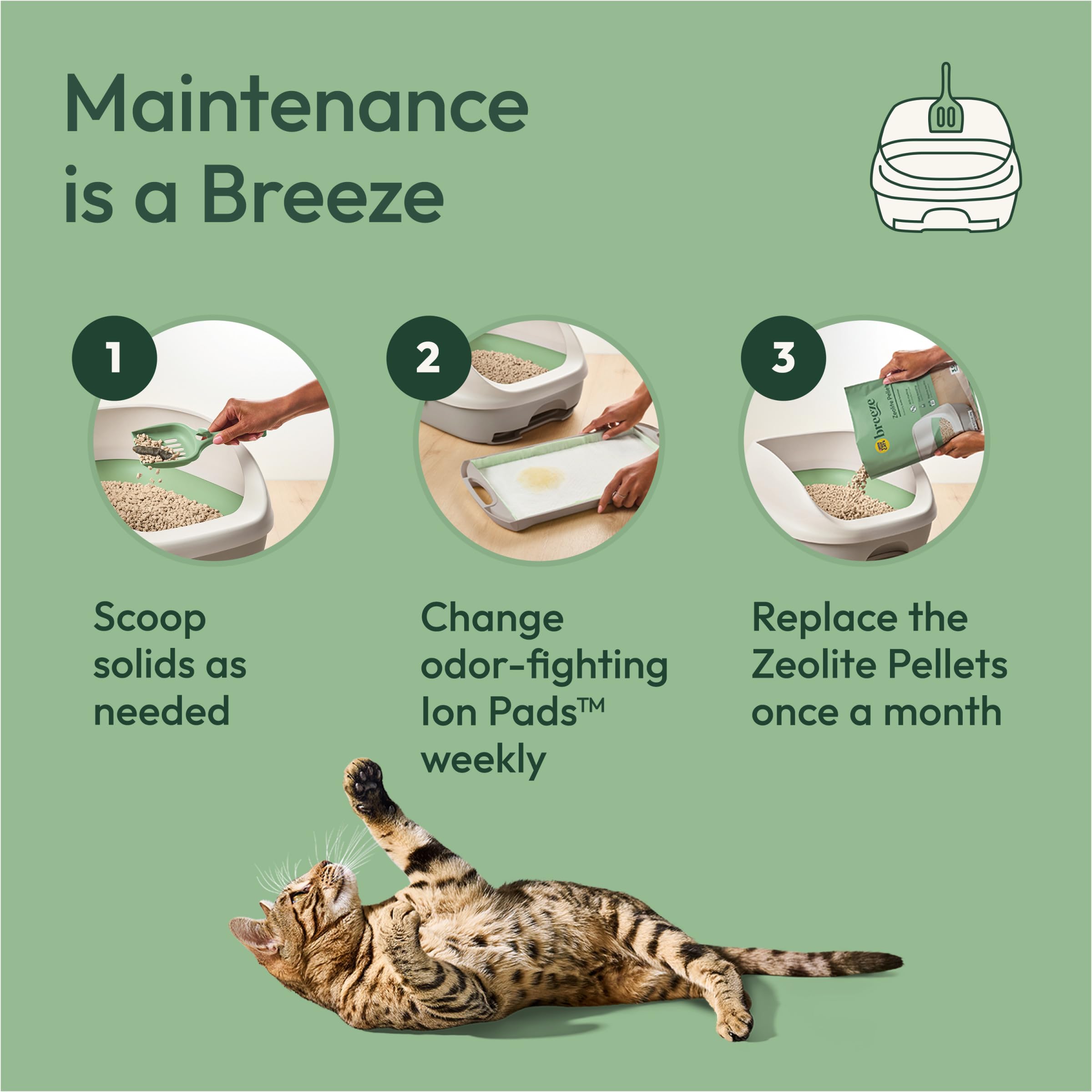 Purina Tidy Cats chat utilisant le bac illustrant confort et accessibilité