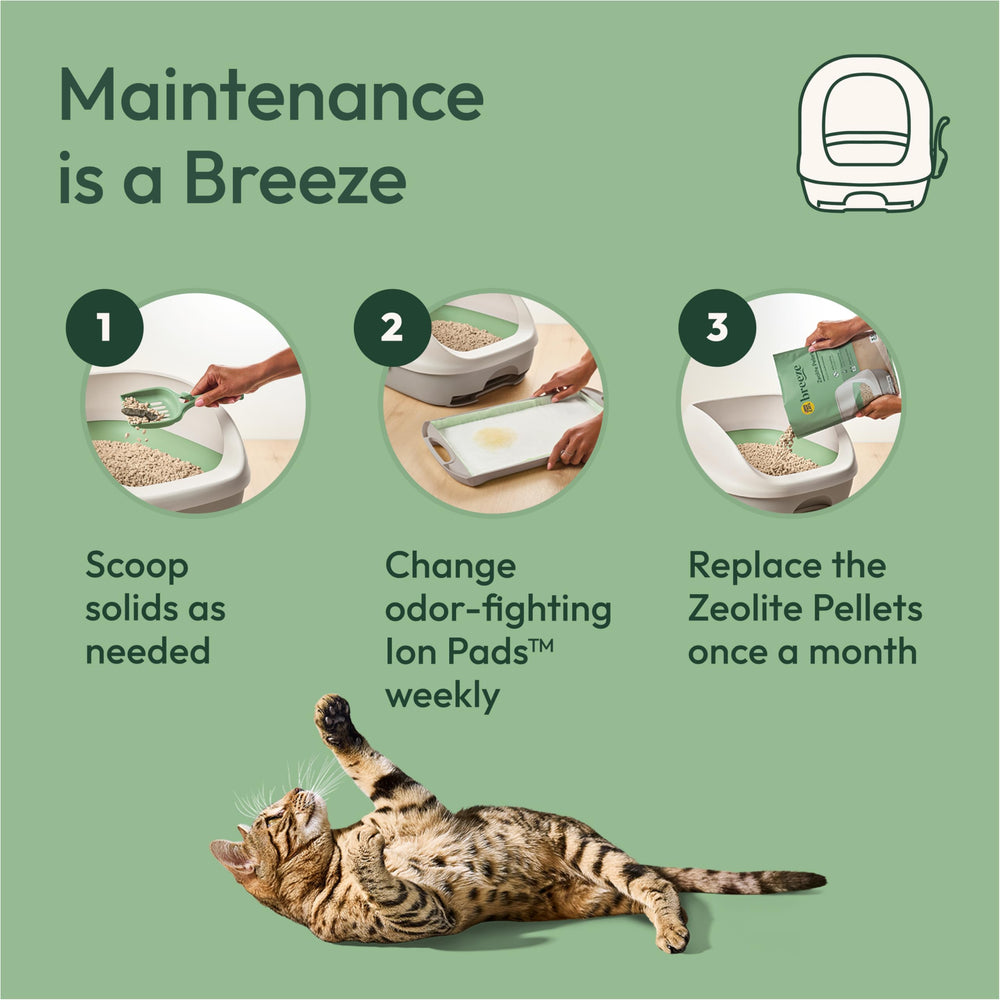 Purina Tidy Cats chat utilisant le bac confortablement dans la maison