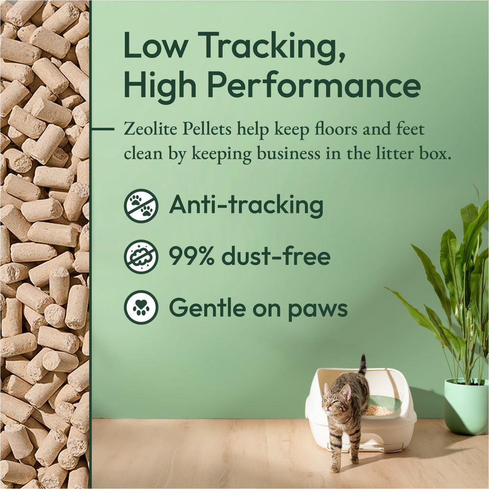 Purina Tidy Cats granulés sur main démontrant faible poussière