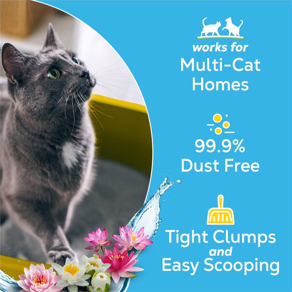 Purina Tidy Cats gros plan des granules pour absorption efficace