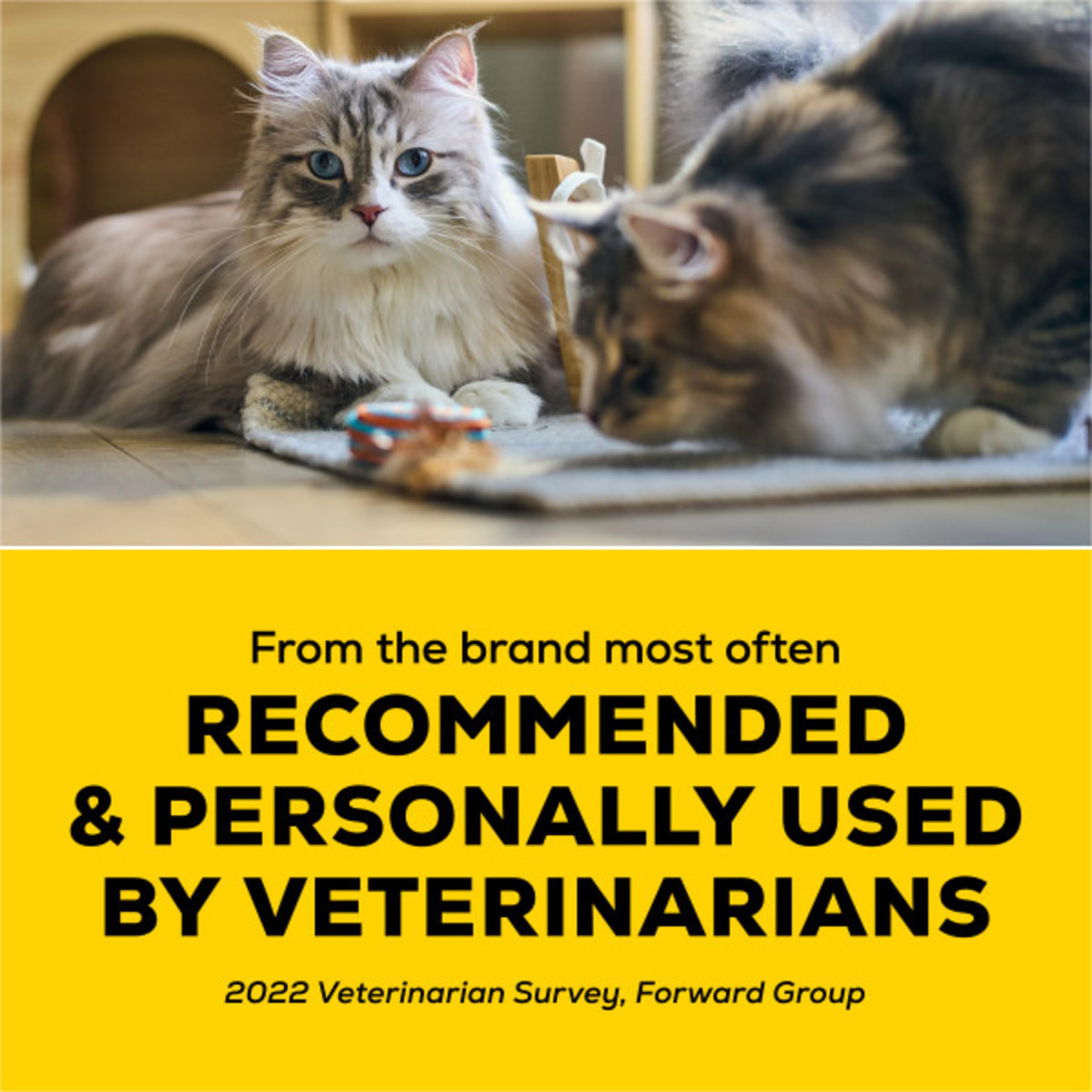 Purina Tidy Cats test poussière montrant 99,9 % moins de poussière bénéfique pour l'air