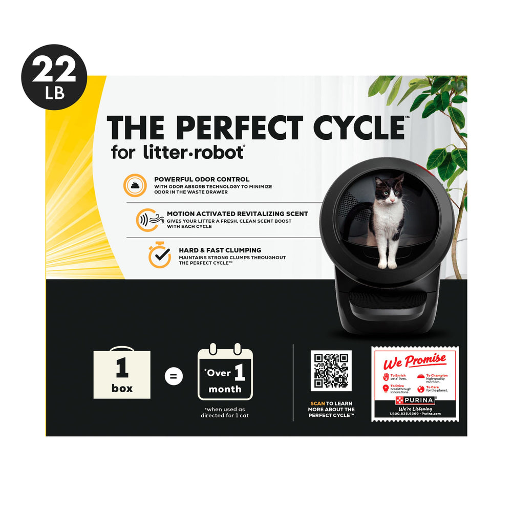 Purina Tidy Cats scène domestique multicat apportant confort et hygiène