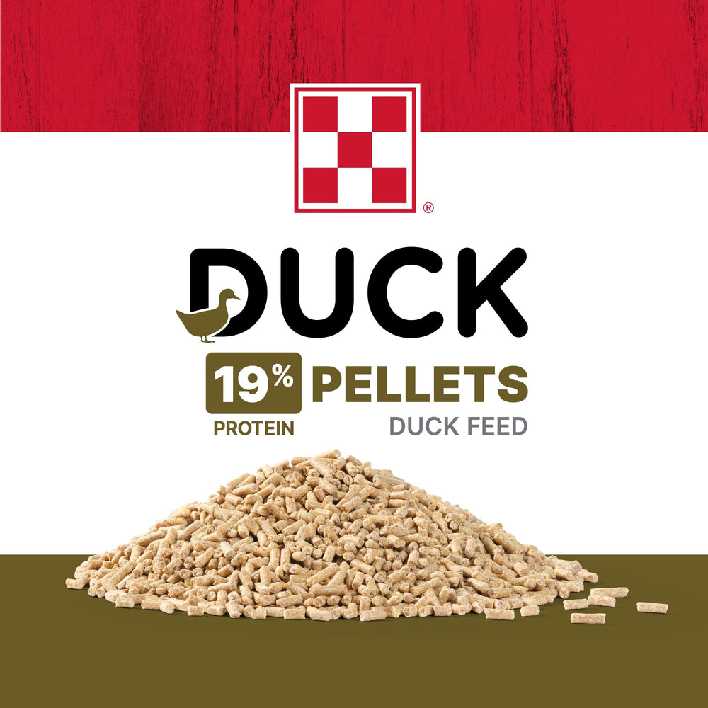 Purina zoom écriture étiquette informations nutritionnelles claires