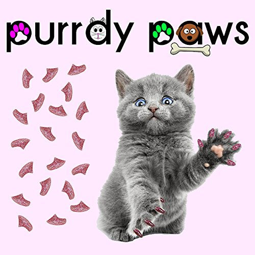 Purrdy Paws application avec embout montrant pose simple et sûre
