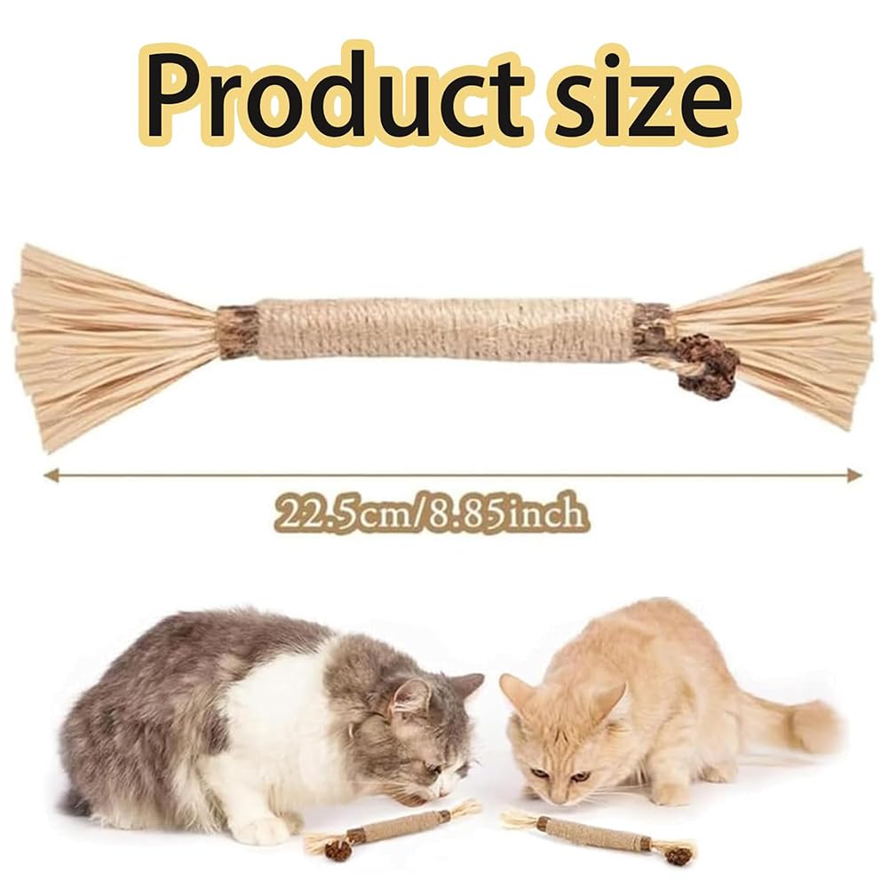 Purriq ambiance intérieur chat utilisant bâtonnet pour jeu relaxant