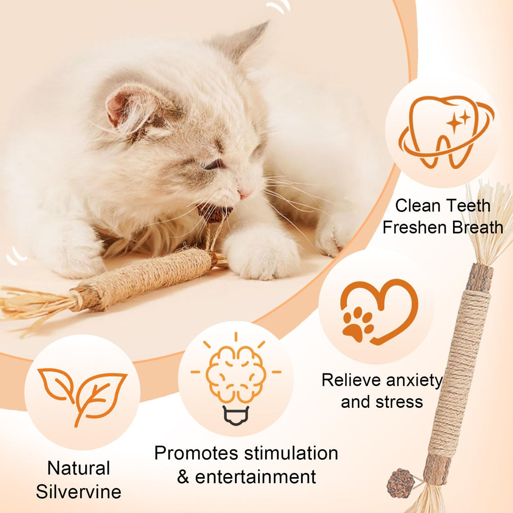 Purriq texture proche-plan révélant fibres et avantage mastication sûre
