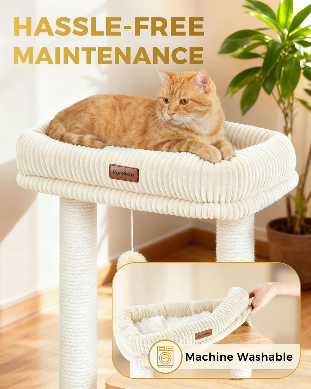 Purrlato arbre à chat à l'échelle avec chat montrant dimensions