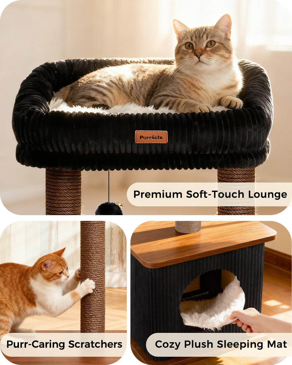 Purrlato condo en bambou ouvert offrant refuge confortable
