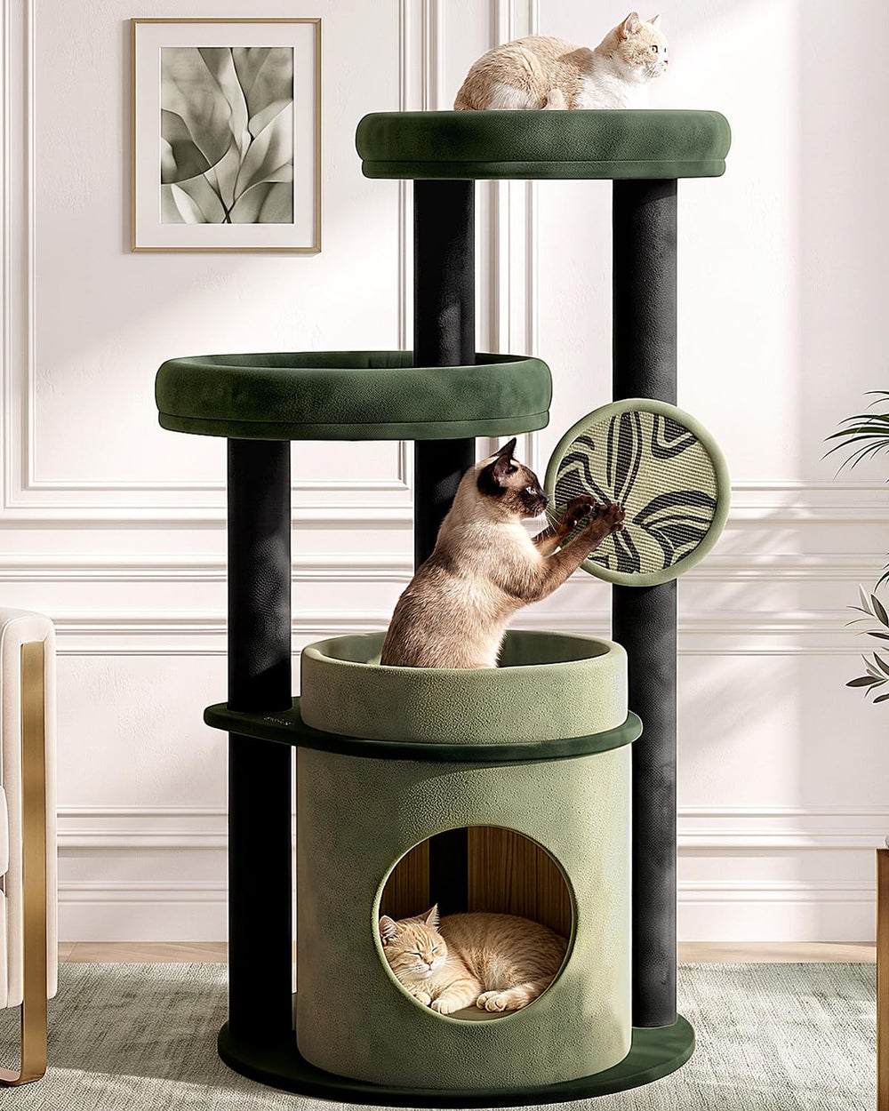 Purrlato arbre à chat face avant montrant plateformes spacieuses et stabilité