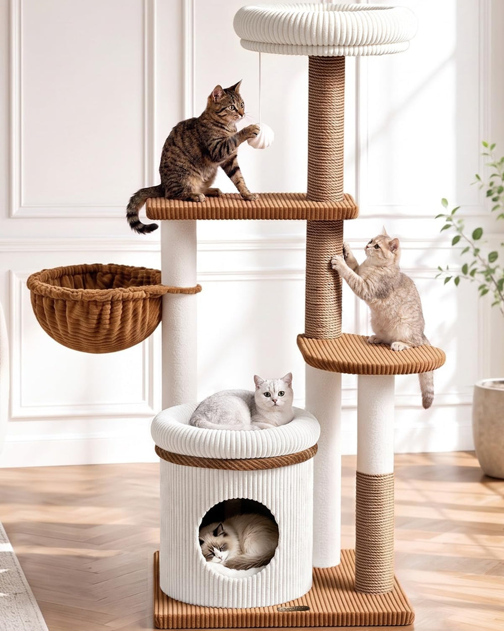 Purrlato vue de face de l'arbre à chat sur base large et stable