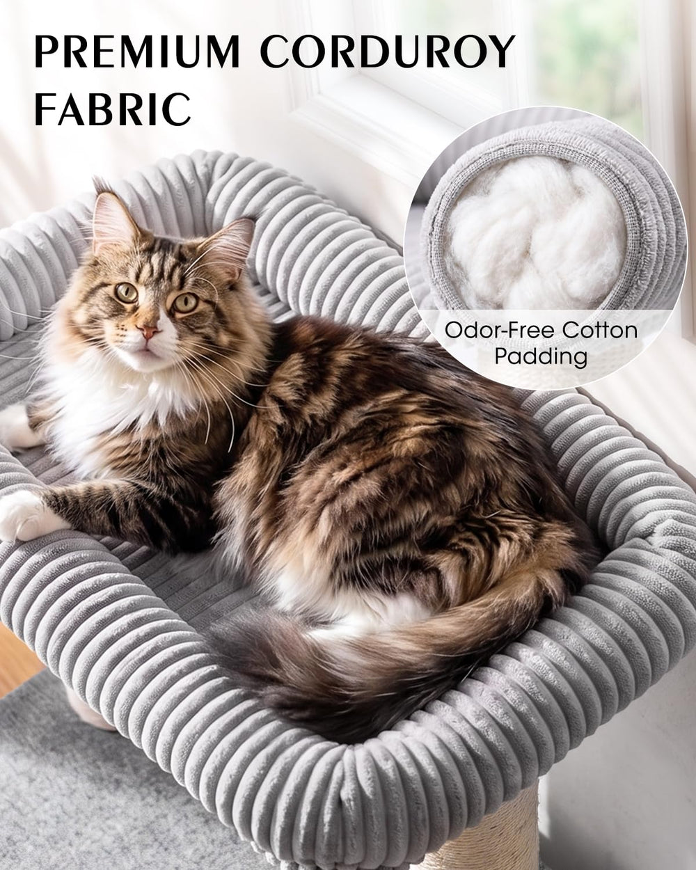 Purrlato intérieur du condo rembourré 1 cm offrant confort ferme